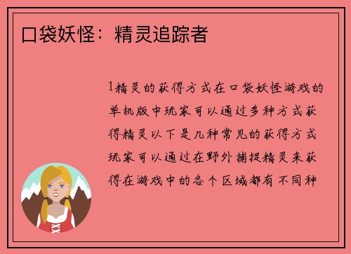 口袋妖怪：精灵追踪者